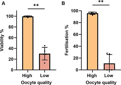 Evaluation of viability, developmental competence, and apoptosis-related transcripts during in vivo post-ovulatory oocyte aging in zebrafish Danio rerio (Hamilton, 1822)